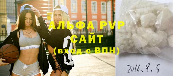 стаф Дмитриев