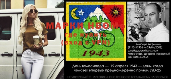 стаф Дмитриев