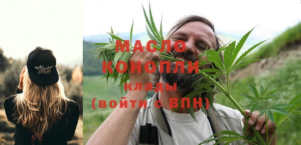 стаф Дмитриев